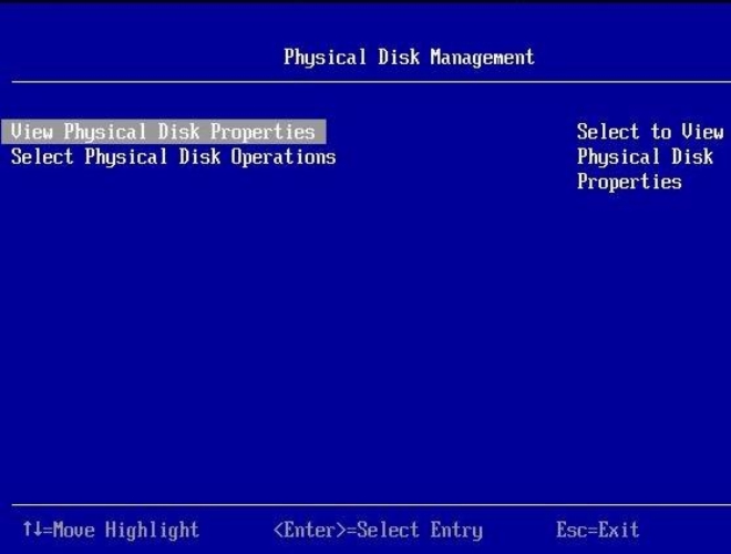 Physical Disk Management